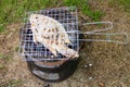 Grilled fish with salt Royalty Free Stock Photo