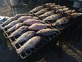 Grilled fish salt Royalty Free Stock Photo
