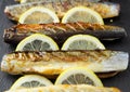 Grilled fish saury with lemon on a slate Board