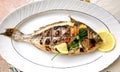 Grilled fish, sea bream, dorada on the plate Royalty Free Stock Photo