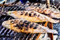Grilled fish Royalty Free Stock Photo
