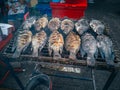 Grilled fish shop at local street market