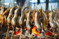 Grilled fish skewers Royalty Free Stock Photo