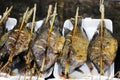 Grilled fish sold in an Asian food street market Royalty Free Stock Photo