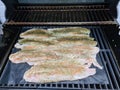 Grilled fish with spices on fire Royalty Free Stock Photo