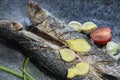 Grilled fish with spices, vegetables and herbs on slate background ready for eating. Royalty Free Stock Photo