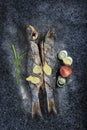 Grilled fish with spices, vegetables and herbs on slate background ready for eating. Royalty Free Stock Photo