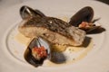 Grilled fish steak with shellfish and sauce on white dish Royalty Free Stock Photo