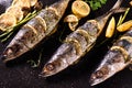 Grilled fish and various vegetables on iron plate Royalty Free Stock Photo