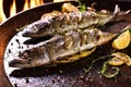 Grilled fish with various vegetables on pan Royalty Free Stock Photo