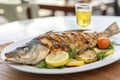 Grilled fish on white plate