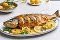 Grilled fish on white plate