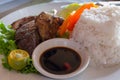 Grilled fish and white rice and fresh vegetables and soy sauce. Asian cuisine concept. Grilled salmon steak with rice.