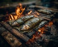 Grilled Fish Wrapped in Leaves Over Campfire Royalty Free Stock Photo