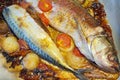 Grilled fishes on the griddle Royalty Free Stock Photo