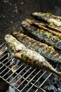 Grilled fishes on hot grill