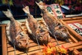 Grilled fishes on sticks as street food at Nishiki market, Kyoto, Japan Royalty Free Stock Photo