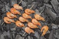 Grilled food. Charcoal skewers shrimps. Grilled food