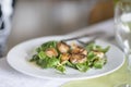 Grilled Fresh Scallop on salad. Closeup of seared scallops. Seafood from Normandia is delicious Royalty Free Stock Photo