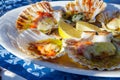 Grilled Fresh Scallop on Shell and lemon on the plate Royalty Free Stock Photo