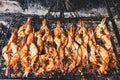 Grilled fresh seafood / Cooking BBQ sea food on fire Royalty Free Stock Photo