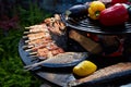 Grilled fresh seafood: prawns, fish, octopus, oysters food background Barbecue Cooking BBQ Royalty Free Stock Photo