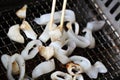 Grilled fresh squid Royalty Free Stock Photo