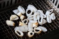 Grilled fresh squid Royalty Free Stock Photo