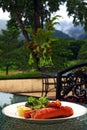 Grilled german sausage with beautiful scenic