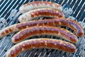Grilled German sausage hot dog wurst BBQ