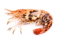 Grilled giant freshwater prawn