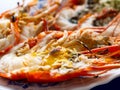 Grilled giant river prawns or giant freshwater prawns