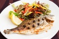 Grilled gilt-head bream fish Royalty Free Stock Photo