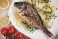 Grilled gilt-head bream fish