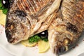 Grilled Gilt-head bream on flat dish