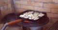 Grilled goat cheese with grill marks. Spring summer barbecue cheese patties. Party concept.