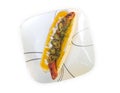 Grilled Gourmet Hotdog