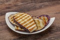 Grilled graffiti eggpant slices with oil Royalty Free Stock Photo