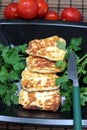Grilled Halloumi Cheese Royalty Free Stock Photo
