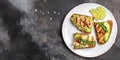 Grilled Halloumi cheese, avocado guacamole, arugula on roasted bread. banner, menu, recipe place for text, top view