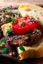 Grilled herbed burger.style rustic .selective focus Royalty Free Stock Photo