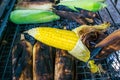 Grilled hot corn on the cob slathered with butter and salt Royalty Free Stock Photo