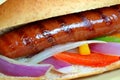 Grilled Hot Dog Royalty Free Stock Photo