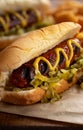 Grilled Hot Dog on a Bun Royalty Free Stock Photo