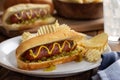 Grilled Hot Dog on a Bun Royalty Free Stock Photo