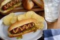 Grilled Hot Dog on a Bun Royalty Free Stock Photo