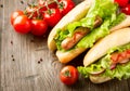 Grilled hot dogs with ketchup and mustard Royalty Free Stock Photo