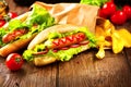 Grilled hot dogs with ketchup and mustard Royalty Free Stock Photo