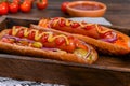 Grilled hot dogs with mustard, ketchup Royalty Free Stock Photo