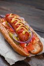 Grilled hot dogs with mustard, ketchup Royalty Free Stock Photo